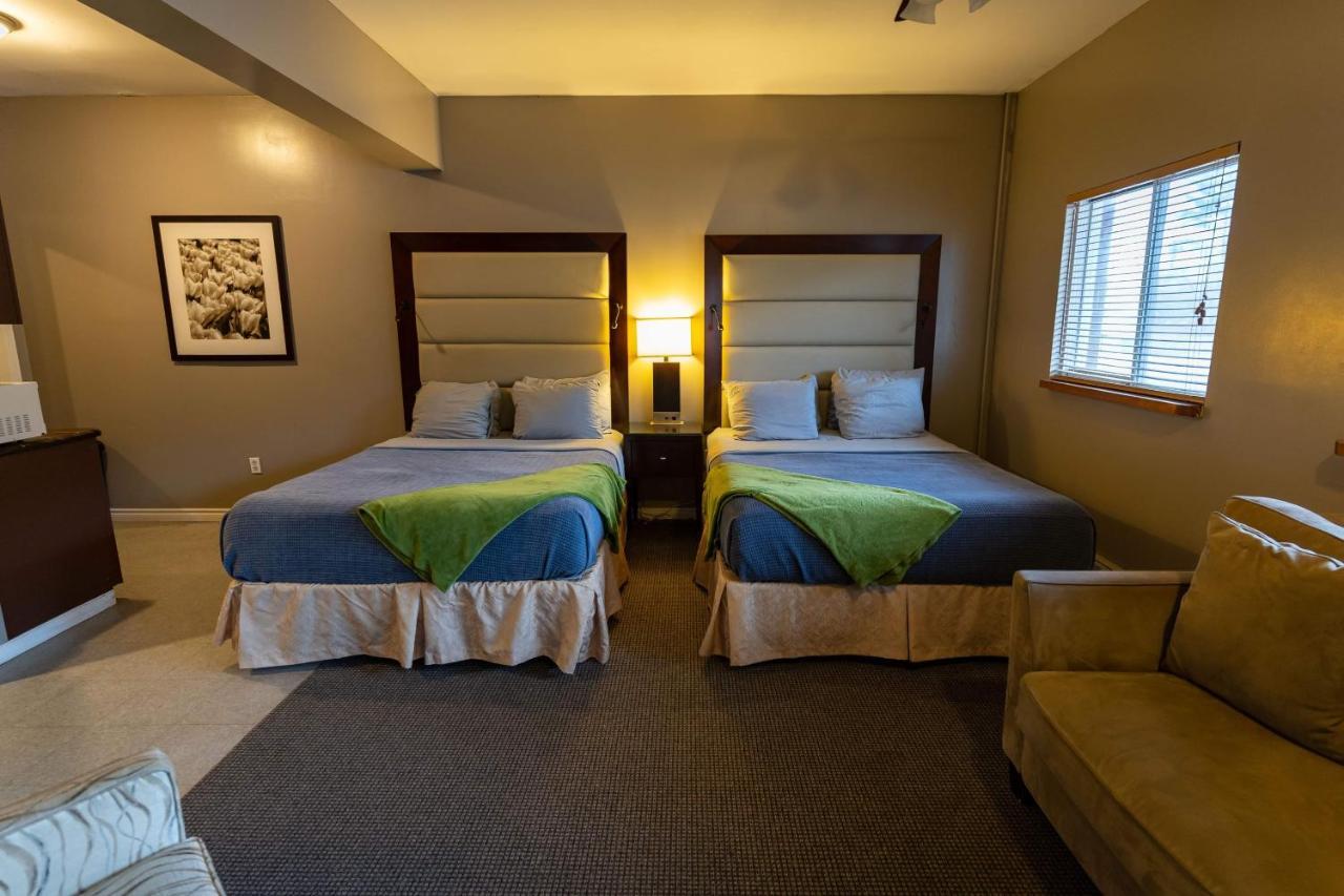 Stoco Lake Lodge Tweed Exteriér fotografie